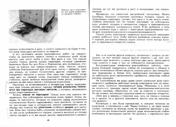 Ирина Залетаева - Книга о кактусах - Страница № 42
