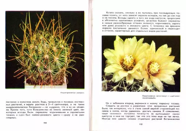 Ирина Залетаева - Книга о кактусах - Страница № 59