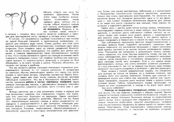 Ирина Залетаева - Книга о кактусах - Страница № 62