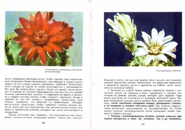 Ирина Залетаева - Книга о кактусах - Страница № 63