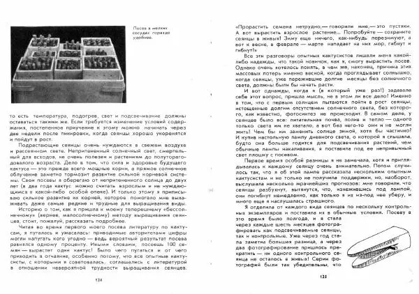 Ирина Залетаева - Книга о кактусах - Страница № 64