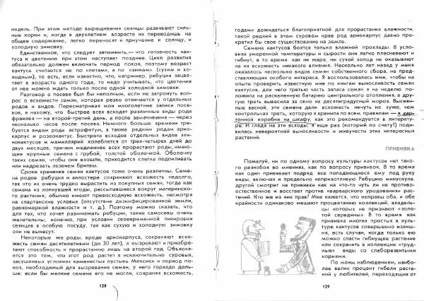 Ирина Залетаева - Книга о кактусах - Страница № 66