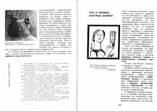 Ирина Залетаева - Книга о кактусах - Страница № 76