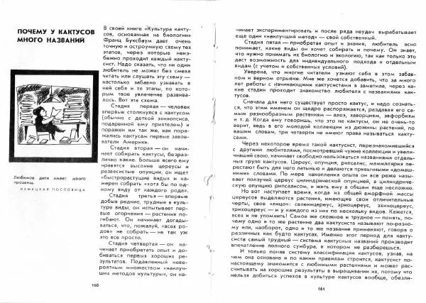 Ирина Залетаева - Книга о кактусах - Страница № 82