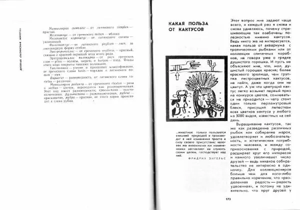 Ирина Залетаева - Книга о кактусах - Страница № 88