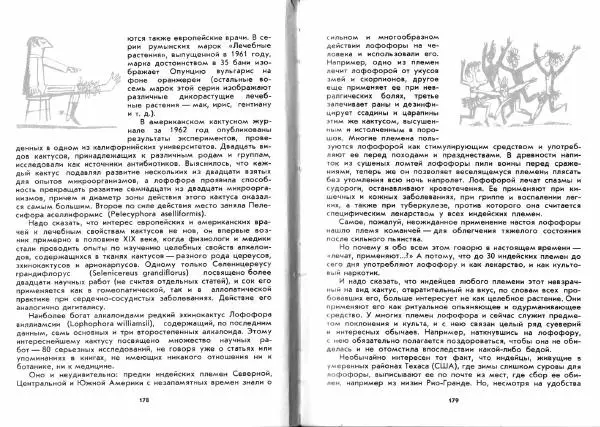 Ирина Залетаева - Книга о кактусах - Страница № 91