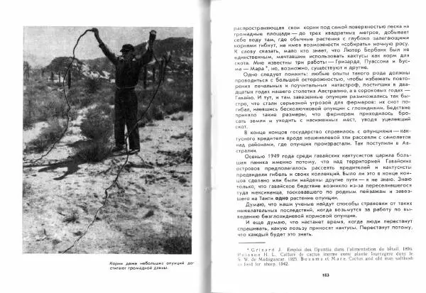 Ирина Залетаева - Книга о кактусах - Страница № 93