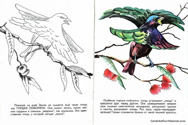 Сергей Юнатов - Удивительные птицы - Страница № 10