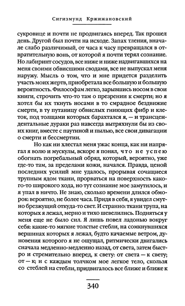 Сигизмунд Кржижановский - Собрание сочинений в 6 тт. Том 1 - Страница № 341