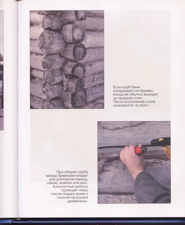  Сборник - Русская баня. Универсальная энциклопедия - Страница № 100