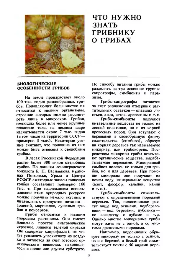 Фёдор Фёдоров - Грибы - Страница № 10