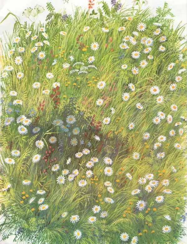 Марк Сергеев - Олень-драчун - Страница № 17