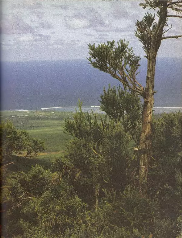 Джеральд Даррелл - Ковчег в пути - Страница № 25