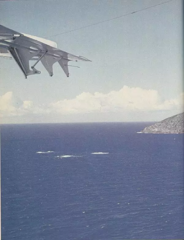 Джеральд Даррелл - Ковчег в пути - Страница № 36