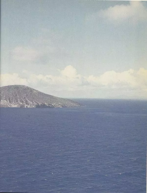 Джеральд Даррелл - Ковчег в пути - Страница № 37