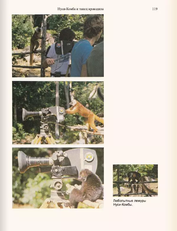 Джеральд Даррелл - Ковчег в пути - Страница № 121
