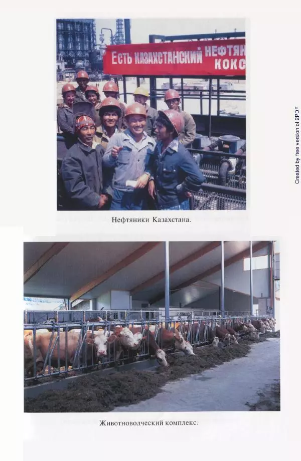  Коллектив авторов - История Казахстана (с древнейших времен до наших дней). В пяти томах. Том 5 - Страница № 21