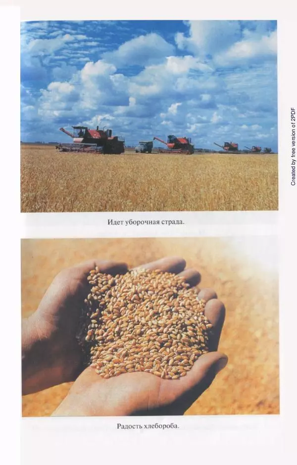  Коллектив авторов - История Казахстана (с древнейших времен до наших дней). В пяти томах. Том 5 - Страница № 25