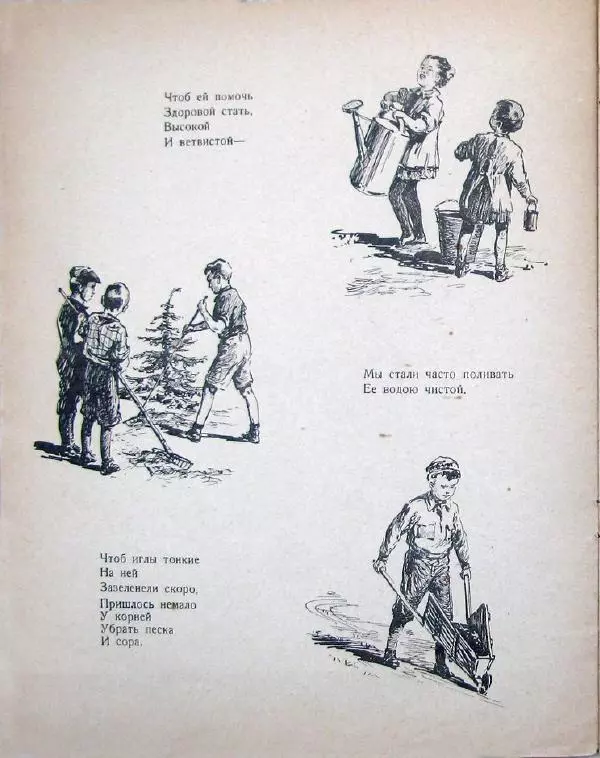 Александр Северный - Зеленый друг - Страница № 6