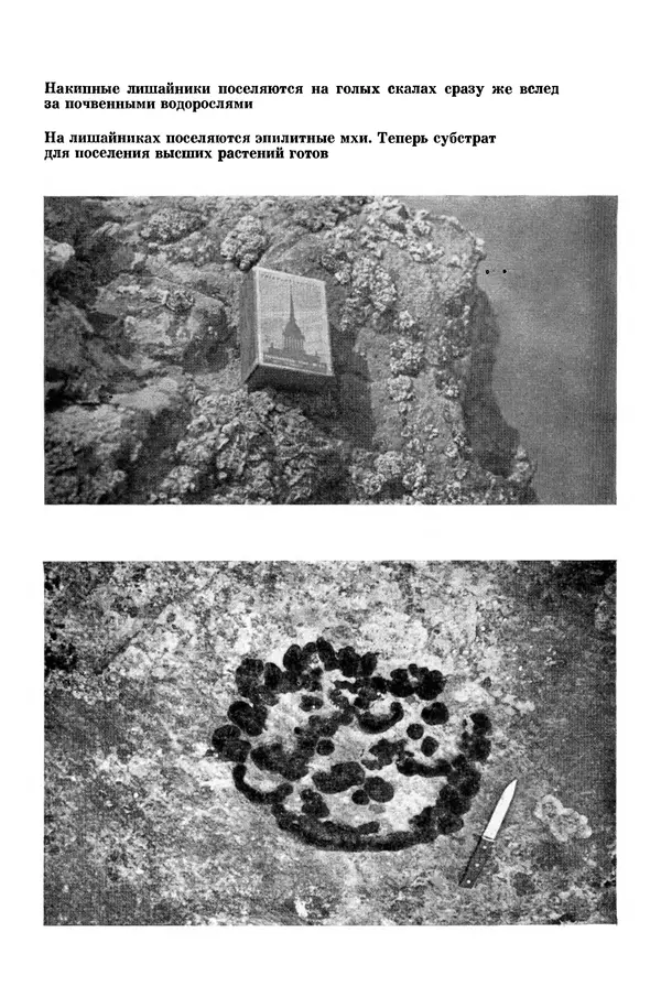 Окмир Агаханянц - За растениями по горам Средней Азии - Страница № 138