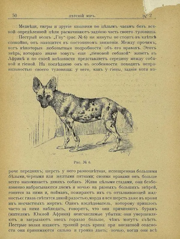 альманах «Детский мир» - Детский мир 1907 №02 - Страница № 24