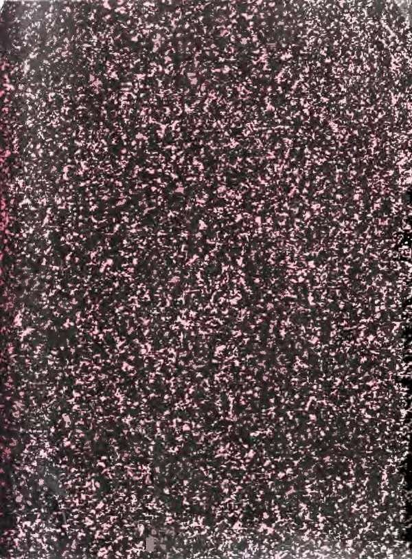 Вениамин Каверин - Жар мечты - Страница № 4