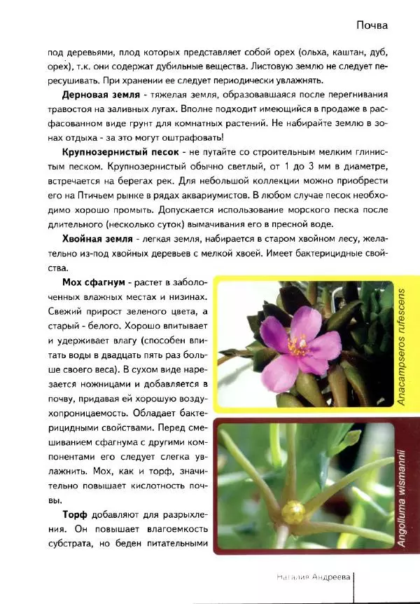 Наталия Андреева - Суккуленты и их секреты - Страница № 18