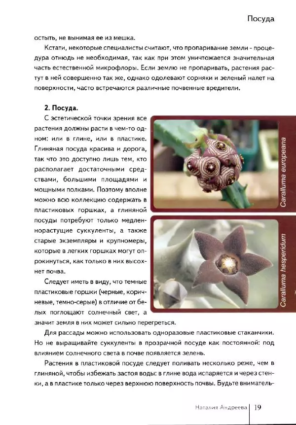 Наталия Андреева - Суккуленты и их секреты - Страница № 20