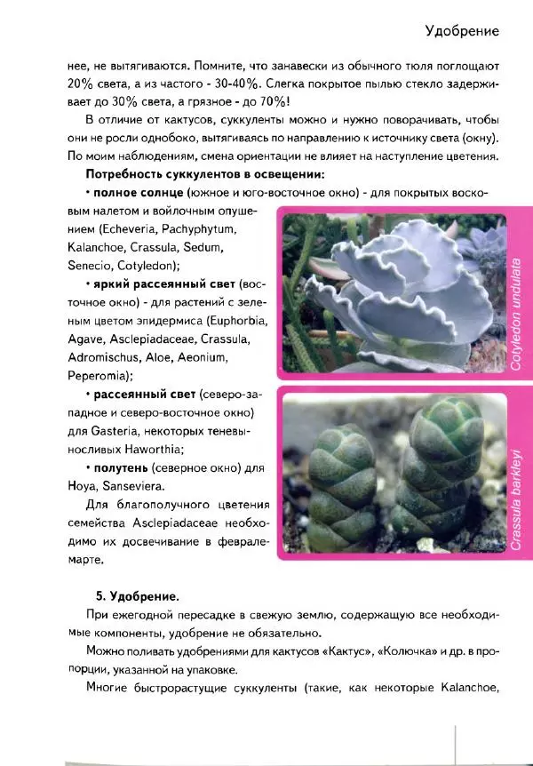 Наталия Андреева - Суккуленты и их секреты - Страница № 24