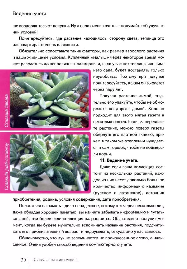 Наталия Андреева - Суккуленты и их секреты - Страница № 31