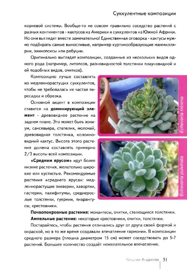 Наталия Андреева - Суккуленты и их секреты - Страница № 52