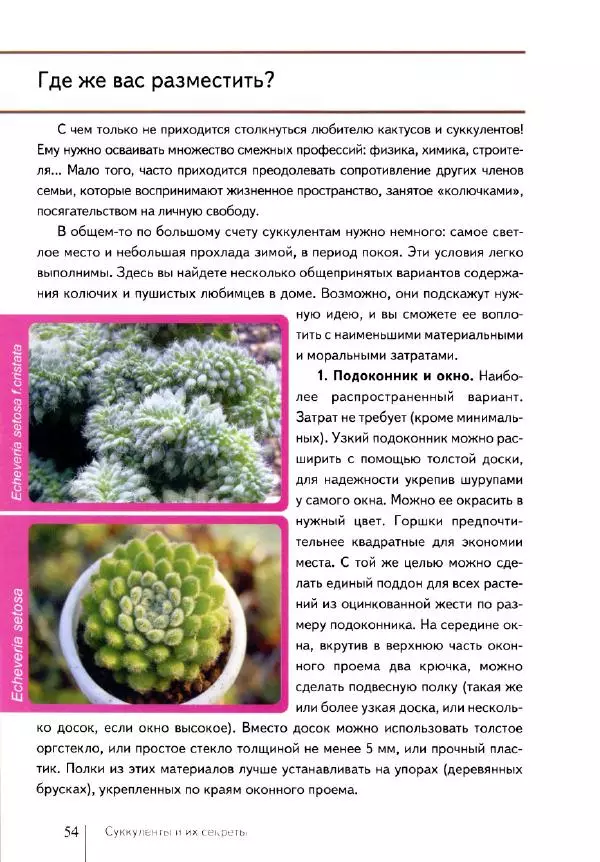 Наталия Андреева - Суккуленты и их секреты - Страница № 55