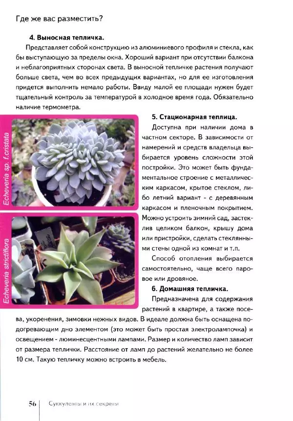 Наталия Андреева - Суккуленты и их секреты - Страница № 57