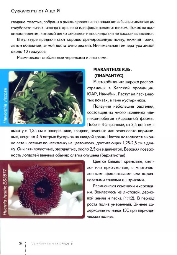 Наталия Андреева - Суккуленты и их секреты - Страница № 81