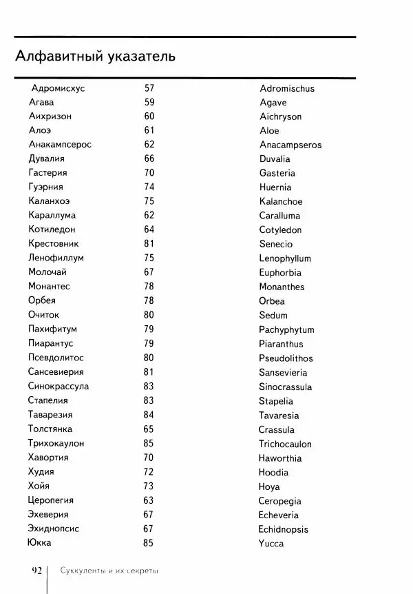Наталия Андреева - Суккуленты и их секреты - Страница № 93