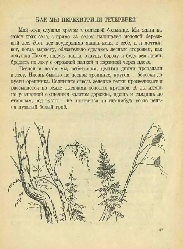  Сборник - Новый год. Сборник стихов и рассказов - Страница № 88