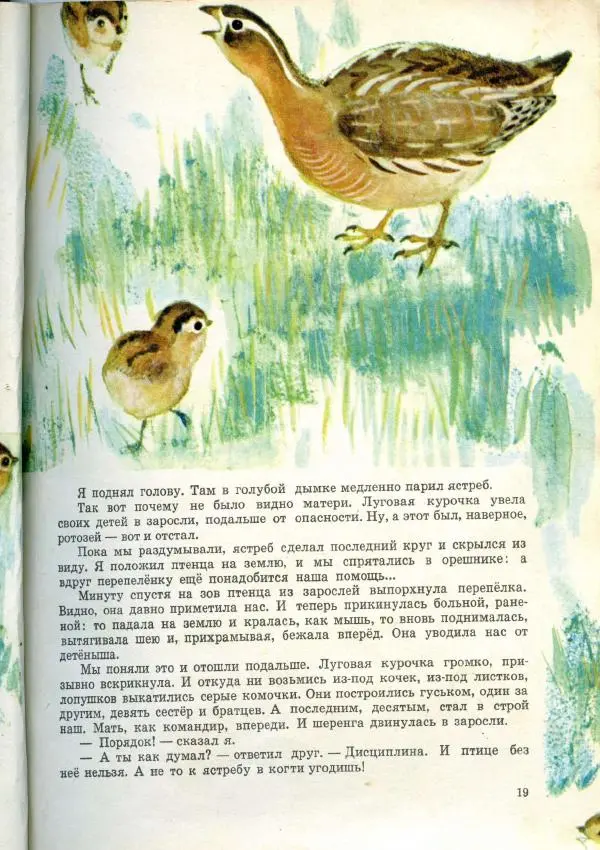 А. Барков - Тарбаганий бал - Страница № 19