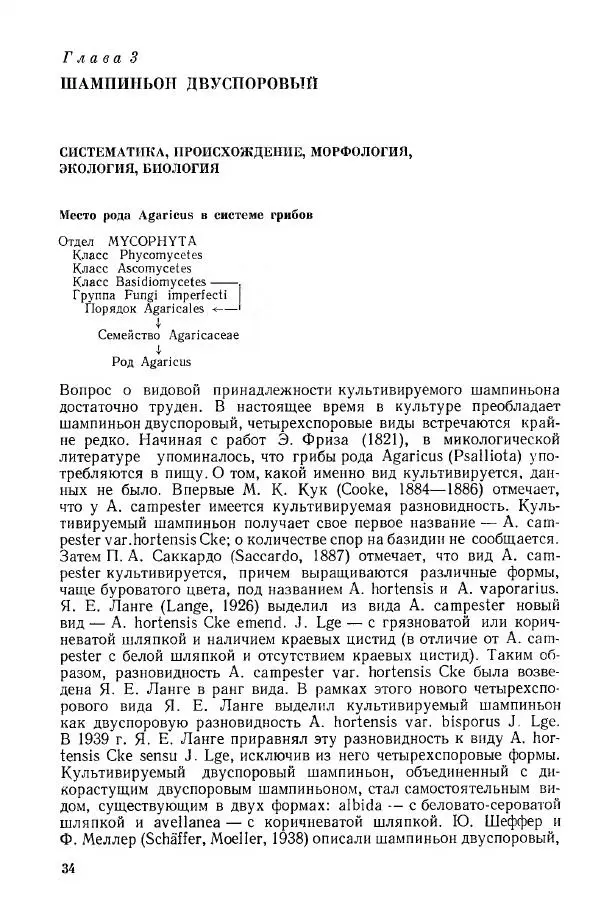 Ирина Дудка - Промышленное культивирование съедобных грибов - Страница № 35