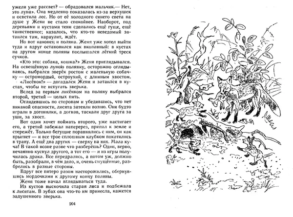 Георгий Скребицкий - Лесной прадедушка. Рассказы - Страница № 105