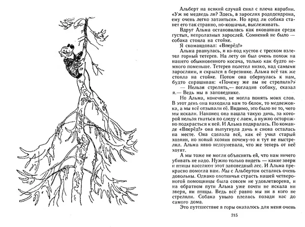 Георгий Скребицкий - Лесной прадедушка. Рассказы - Страница № 110