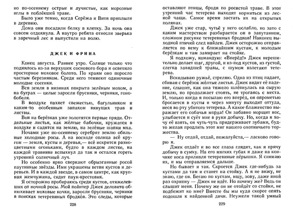 Георгий Скребицкий - Лесной прадедушка. Рассказы - Страница № 117