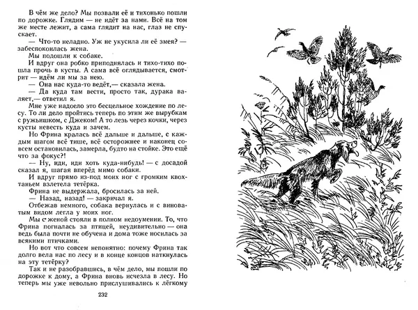 Георгий Скребицкий - Лесной прадедушка. Рассказы - Страница № 119