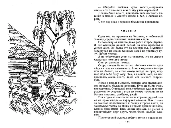 Георгий Скребицкий - Лесной прадедушка. Рассказы - Страница № 38