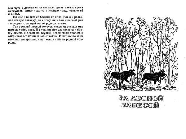 Георгий Скребицкий - Лесной прадедушка. Рассказы - Страница № 42