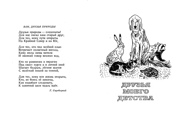 Георгий Скребицкий - Лесной прадедушка. Рассказы - Страница № 6