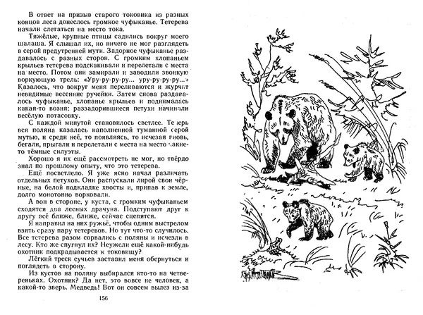 Георгий Скребицкий - Лесной прадедушка. Рассказы - Страница № 81