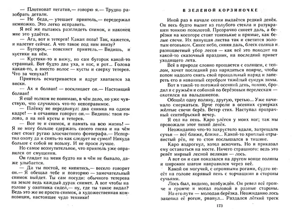 Георгий Скребицкий - Лесной прадедушка. Рассказы - Страница № 89