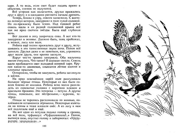 Георгий Скребицкий - Лесной прадедушка. Рассказы - Страница № 93
