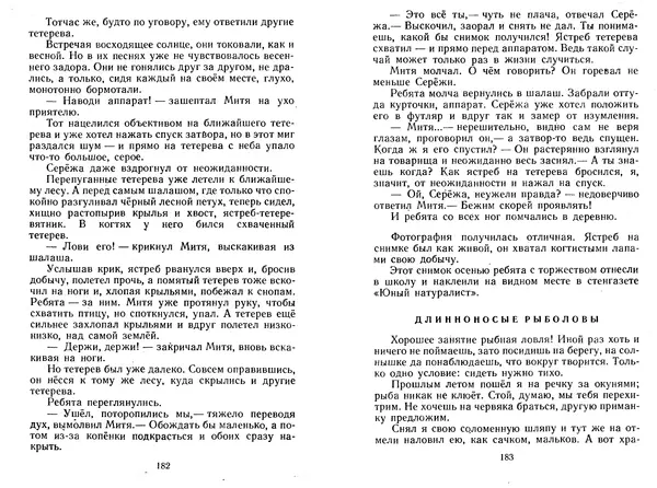 Георгий Скребицкий - Лесной прадедушка. Рассказы - Страница № 94