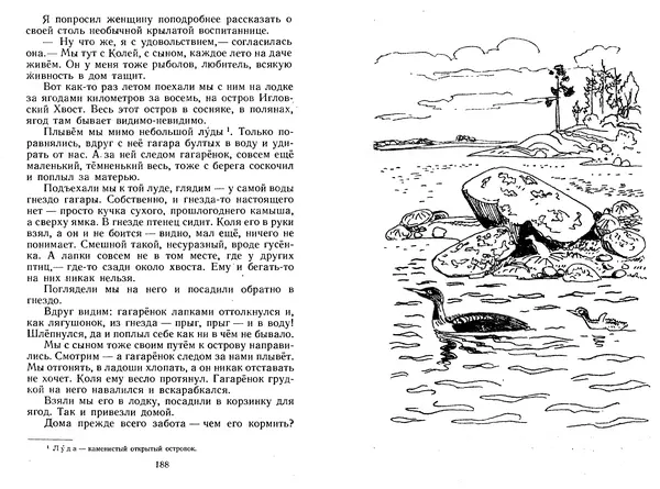 Георгий Скребицкий - Лесной прадедушка. Рассказы - Страница № 97